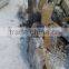 Chinese natural polished grey basalt, hainan grey basalt on sale