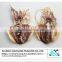 Wholesale process dried cuttlefish