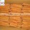 Cinnamon with Competitive price and good price