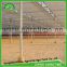 Venlo Greenhouse PC Sheet glass covering hot sale greenhouse