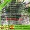 50gsm transparent color citrus netting hai netting