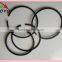Piston ring used for diesel engine