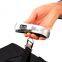 Weight Bilancia Balanza Digital Scale Balance Scales Electronic Digital Luggage Scale Portable Hanging Scale With Hook Strap New