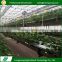 Simple fashion agricultural fruits indoor hydroponics growing systems