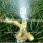 1/2" flexible lawn and garden sprinkler