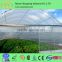 poly tunnel vegetable plastic greenhouse grreenhouse plastic frame greenhouse