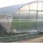 Tunnel greenhouse