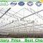 Commercial Metalic Greenhouse