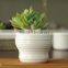 Indoor Mini Glazed White Pottery Planter for Succulent