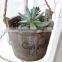 Creative wooden fleshy flowerpot small hanging wood barrel planter