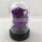 Clear Acrylic display dome with base for display decorations