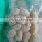 Frozen Vacuum packing fresh scallop in good quality