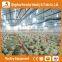 Hot sale in China poultry farming equipmentl -flooring feed pan and drinking nipple