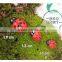 Mini CUTE fashional Resin decoration, Mini coccinella septempunctata Beatles Micro landscape furnishing articles