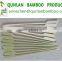 Natural bamboo teppo skewer