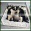 AZO free Penguin Flannel Sherpa Fleece Digital Printing Blanket