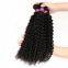 Brown 18 Inches Brazilian Curly Thick Human Hair Cuticle Virgin Russian 