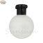 Ball Shaped Pet Plastic Cosmetic Lotion Bottle