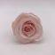 Preserved rose flowers for wedding decoration flower arrangement