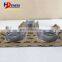 Diesel Engine Parts QSX15 Crankshaft and Con Rod Bearing STD