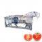 fruit cleaning machine laveur fruits maquina lavadora de fruta