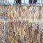 high quality frozen seafood bulk vietnam dried squid for sale