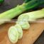 Korean Green Onion Leek IQF Frozen Scallion