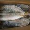 china frozen sea bass fish frozen seabass fish barramundi fish