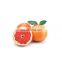 98% Naringin Grapefruit Seed Extract Citrus paradisi powder