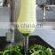 Low consumption single head hami melon pumpkin peeling machine