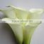Beautiful best selling pink calla lily flower head