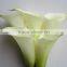 Top grade useful professional single stem calla lily