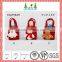 Green and red color christmas gift bag