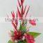 High quality Anthuriums plants for sale/wholesale artificial flower for home decoration