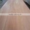 Trade Assurance 4x8' grade BBCC okoume plywood door skin plywood home depot