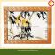 Beautiful Bamboo Photo Picture Frame