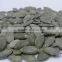 Raw Pumpkin Seeds GWS