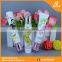 Lip balm display, Plastic lip balm tube