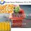 Hollow extruding corn puffing machine extruder corn