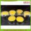 Outdoor Use Citronella Tin Candles