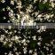 1.8M high white color LED cherry tree light for wedding event decoration