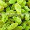AD Dried Green Raisins with good quality for sale