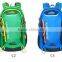 Premium quality 40L OEM customzied nylon oxford daily backpack Camping backbag outdoor Sport hiking Cycling travelling Backpack