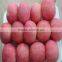 Clear Pack Fuji Apples