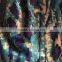 polyester/spandex fashion Korea velvet fabric for dress
