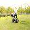 CHIC-GOLF big wheeled balance electric moped