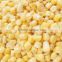 New crop iqf frozen yellow corn sweet corn kernels