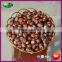 New Crop Fresh Chinese Yanshan Chestnut Bulk Organic Raw Nuts with Shell for Sale