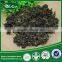 low price china moss raw moss nuts for sale
