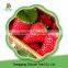 Wholesale Frozen Fruits Iqf Frozen Strawberry From China